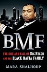 BMF: The Rise and Fall of Big Meech and the Black Mafia Family