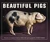 Beautiful Pigs by Andy Case