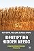 Identifying Hidden Needs: C...
