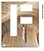 The Fundamentals of Architecture