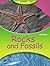 Kingfisher Young Knowledge: Rocks and Fossils (Science Kids)