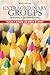 Extraordinary Groups by Richard T. Schaefer