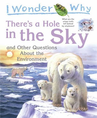 There's a Hole in the Sky: and Other Questions About the Environment (Hardcover)