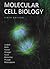 Molecular Cell Biology [with eText Access Code] by Harvey F. Lodish