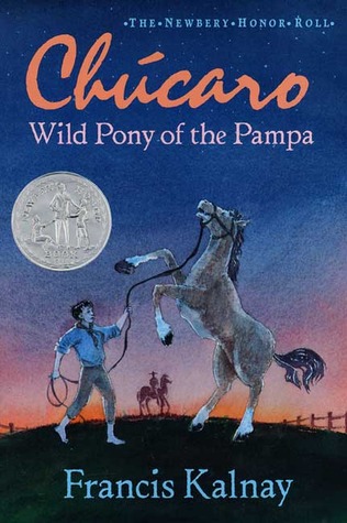 Chúcaro: Wild Pony of the Pampa (Paperback)