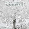 Ray K. Metzker: Landscapes