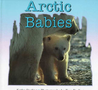 Arctic Babies (Hardcover)