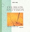 Eye, Brain, and V...