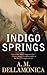 Indigo Springs (Astrid Lethewood #1)