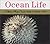 Ocean Life