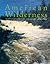 American Wilderness