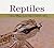Reptiles: A Golden Photo Gu...