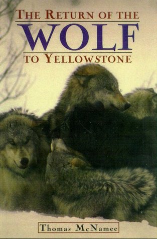 The Return of the Wolf to Yellowstone (Paperback)