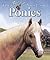 The Best Book of Ponies