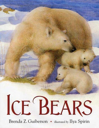 Ice Bears (Hardcover)
