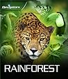 Rainforest (Navigators)