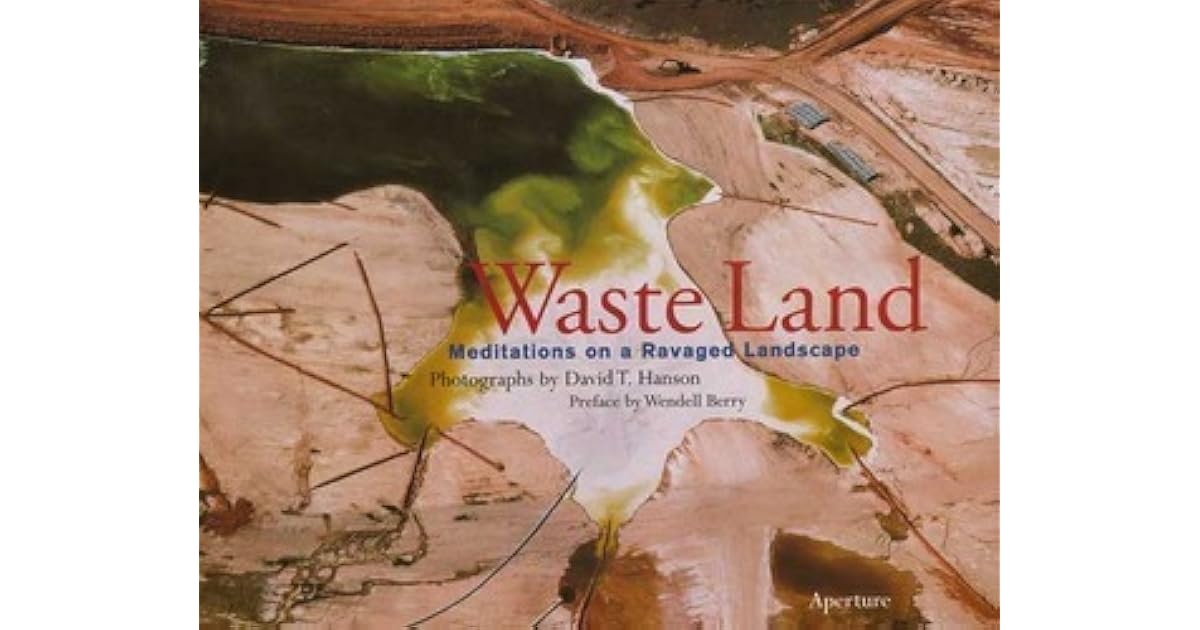 Waste Land Meditations an a Ravaged Landscape by David T. Hanson