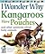I Wonder Why Kangaroos Have...