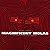 Magnificent Molas: The Art ...
