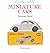 Collectible Miniature Cars by Dominique Pascal