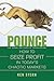 Pounce: How to Seize Profit...