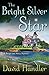 The Bright Silver Star (Berger and Mitry, #3)