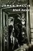 Black Hornet (Lew Griffin, #3)