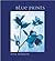 Blue Prints by Zeva Oelbaum