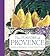 The Flavors of Provence