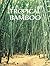 Tropical Bamboo: Bambusa Guadua