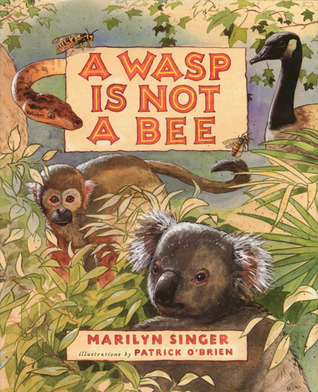 A Wasp Is Not a Bee (Hardcover)