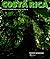 Costa Rica: The Forests of Eden