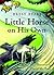 Little Horse on His Own (Early Chapter Books)