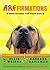 Arffirmations: Meditations ...