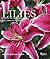 Lilies: A Guide to Choosing and Growing Lilies