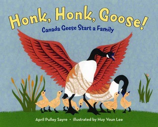 Honk, Honk, Goose!: Canada Geese Start a Family (Hardcover)