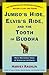 Jumbo's Hide, Elvis's Ride,...