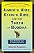 Jumbo's Hide, Elvis's Ride, and the Tooth of Buddha by Harvey Rachlin