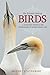 The Private Lives of Birds by Bridget Stutchbury