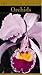 The Little Book of Orchids