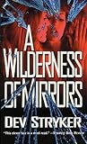 A Wilderness of Mirrors (Amelia Pierce, #2)