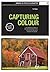Capturing Colour: 3 (Basics Photography)