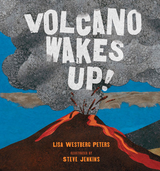 Volcano Wakes Up! (Hardcover)