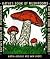 Katya's Book of Mushrooms