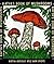 Katya's Book of Mushrooms
