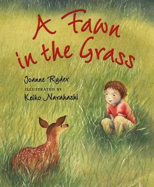 A Fawn in the Grass (Hardcover)