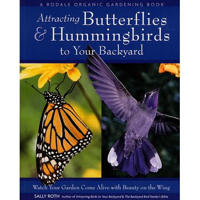 Attracting Butterflies Hummingbirds To Your Backyard Watch Your