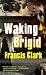 Waking Brigid
