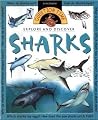 Sharks (Question Time) Sharks (Question Time)
