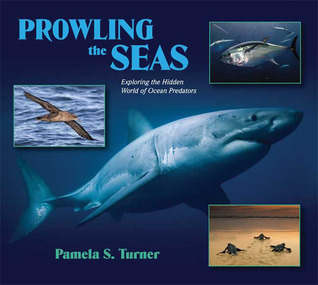 Prowling the Seas: Exploring the Hidden World of Ocean Predators (Hardcover)